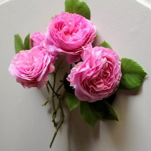 ♣︎アンティークシルバーについて