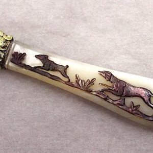 白蝶貝と黒蝶貝