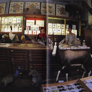 デロールとサラ・ムーンと