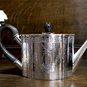 小さな可愛い..