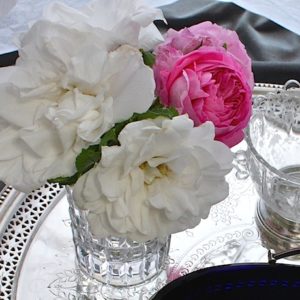 お休みのお知らせ