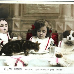 カードをアップしました。