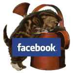 facebook猫