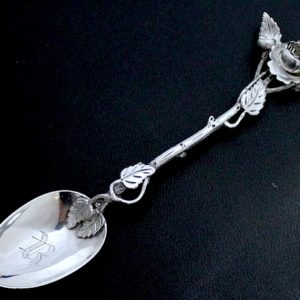 スプーンをアップしています