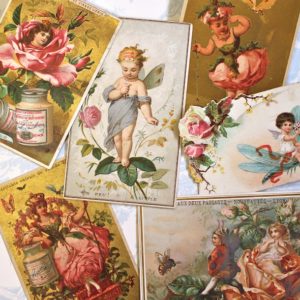 薔薇の少女たち