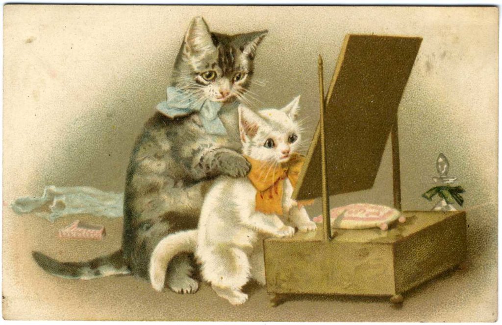 はじめまして。