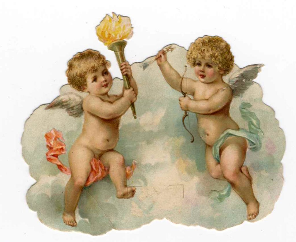 カードいろいろ