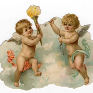 カードいろいろ