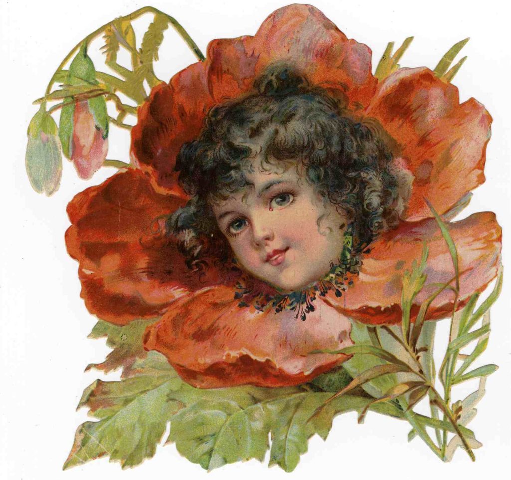 クラップサドルのひなげしの少女