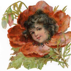 クラップサドルのひなげしの少女