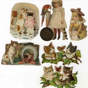 猫、ねこ、ネコ...