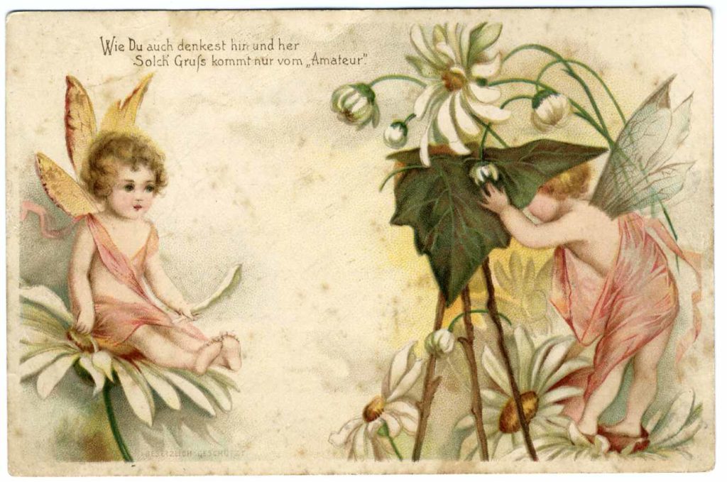 妖精のカメラマン＊クラップサドル