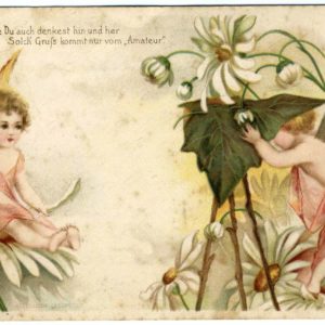 妖精のカメラマン*クラップサドル