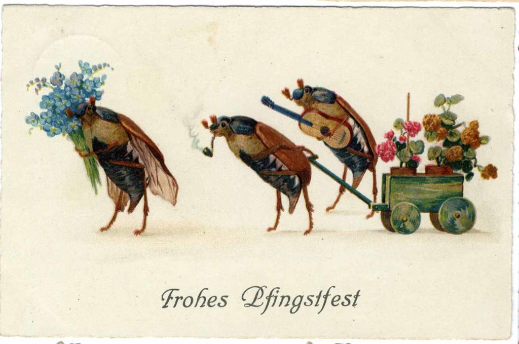 虫たちの花祭り