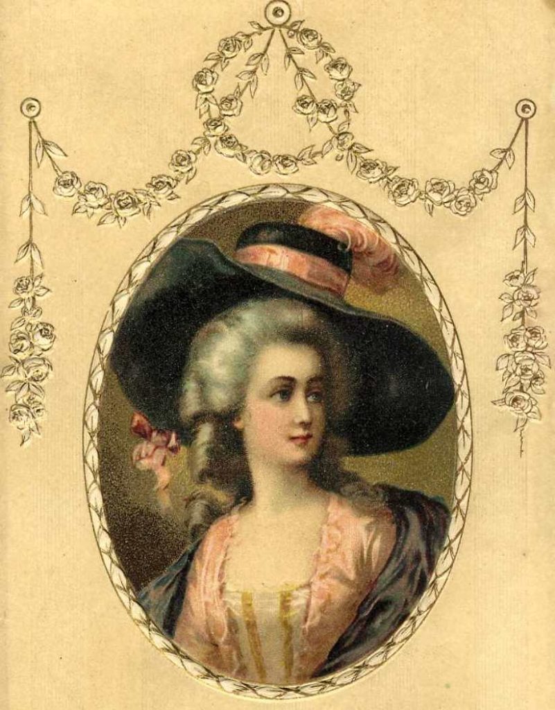 レディ、犬カード、猫カード