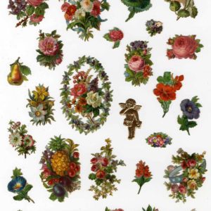 ヴィクトリアンダイカット、いろいろ