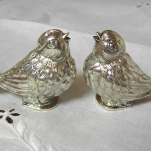 かわいい小鳥＊塩こしょう入れ