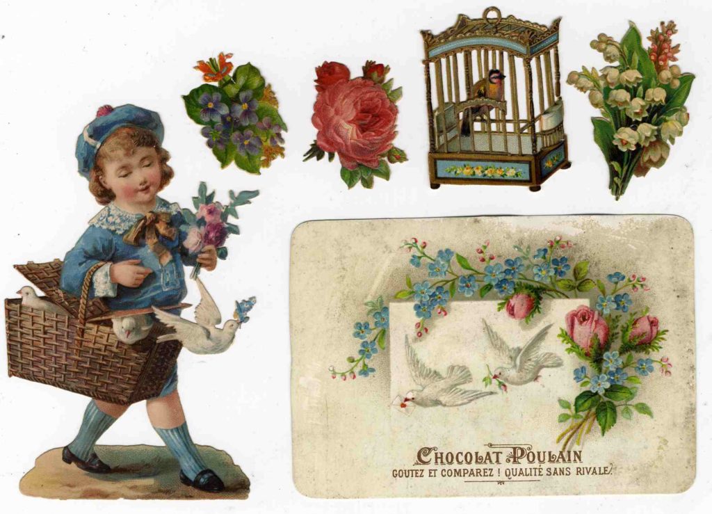 鳥少年、鳥かご...