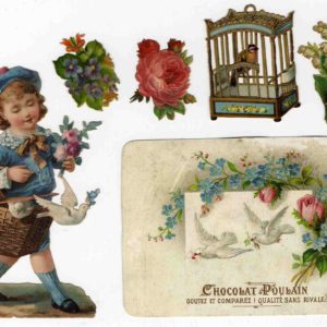 鳥少年、鳥かご...