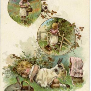 うさぎのポストカード