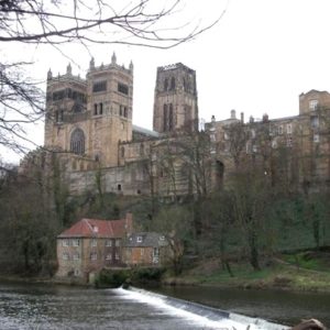 新商品をアップしていきます