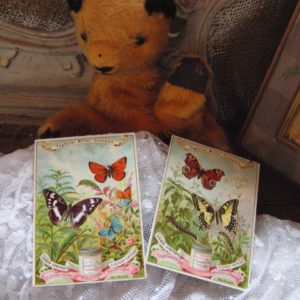 リービッヒのカード