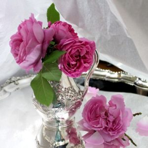 今年の一番薔薇。