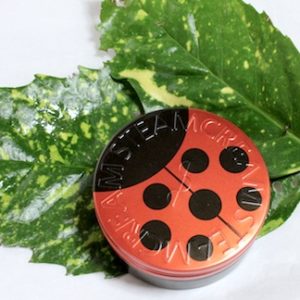 テントウムシの保湿クリーム