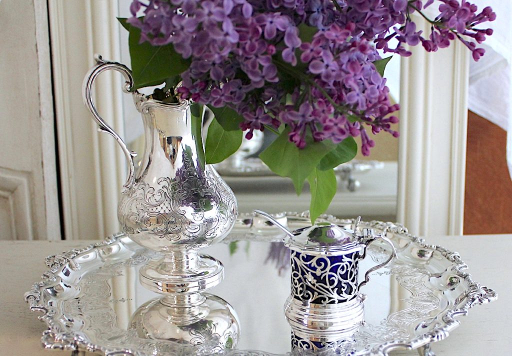 シルバー、撮影しています。