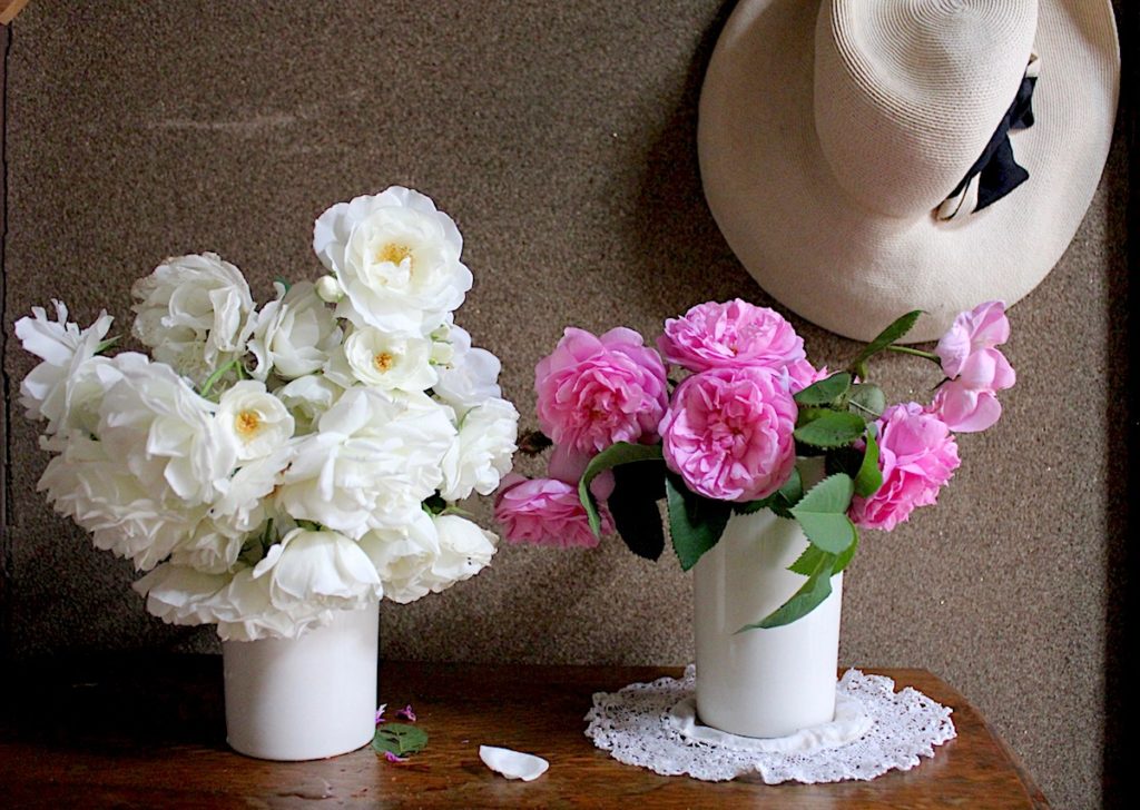 新年あけましておめでとうございます。