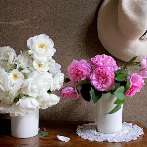 更新の準備、少しずつ撮影しています。