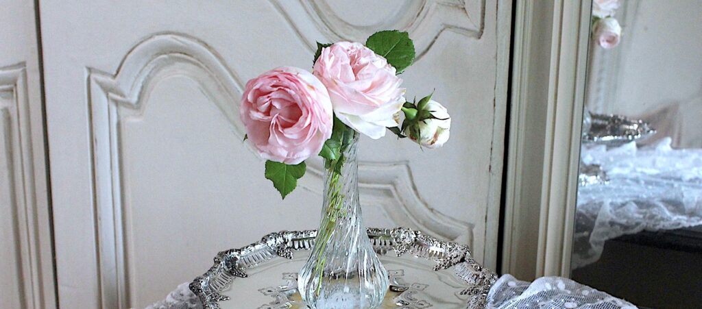 更新しました。