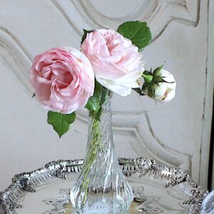 更新しました。