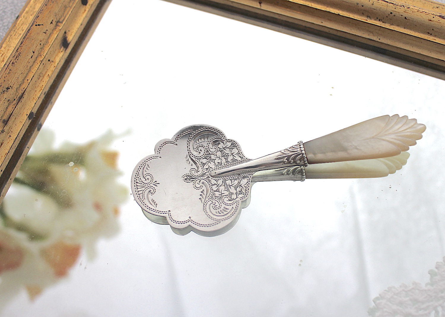 花びら型キャディスプーン 白蝶貝ハンドル 1896年